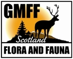 GM Flora and 
Fauna